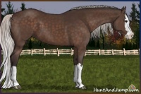 Horse Color:Silver Brown Sabino Splash 