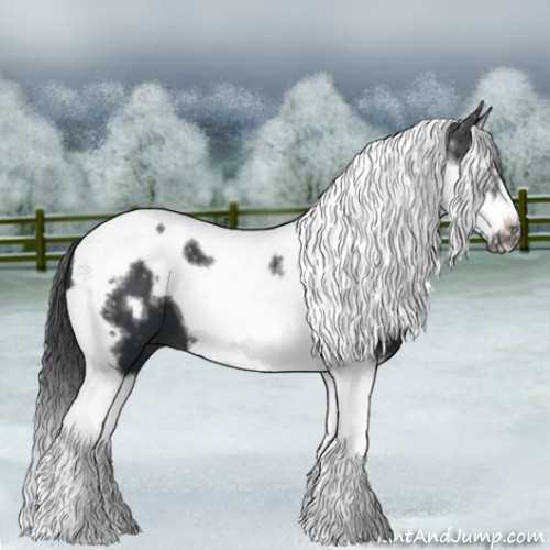 Horse Color:Black Splash Tobiano Frame 