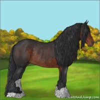 Horse Color:Brown Rabicano 
