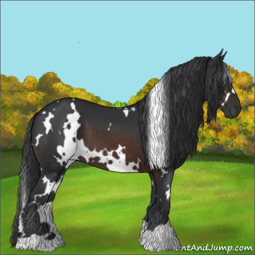 Horse Color:White Spotted Brown 