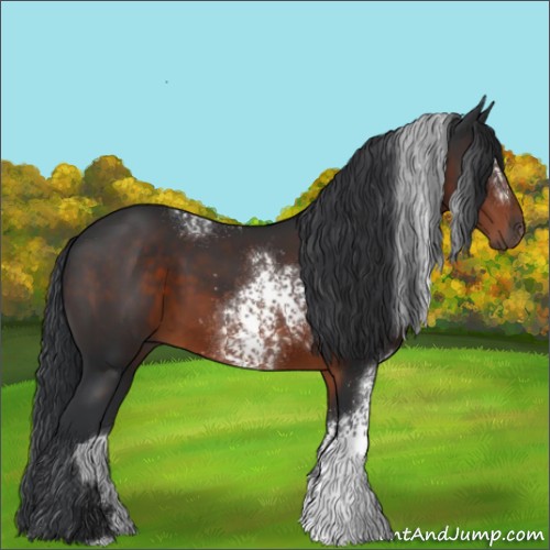 Horse Color:White Spotted Brown 