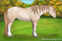 Horse Color:Gold Champagne Pearl Rabicano  and Gold Champagne Pearl Rabicano 