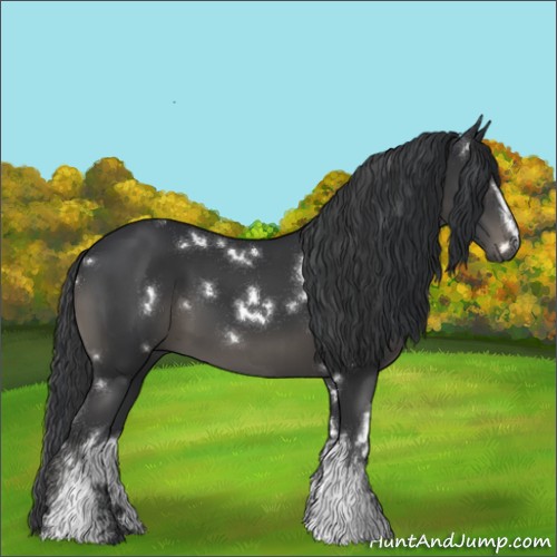 Horse Color:White Spotted Black