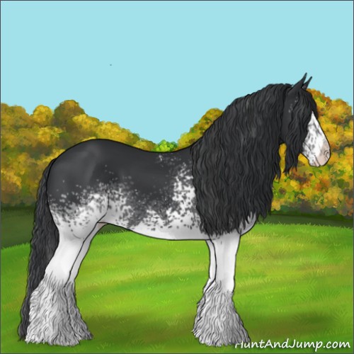 Horse Color:White Spotted Black 