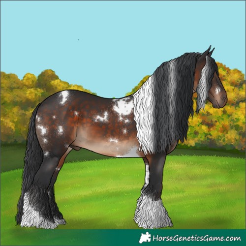 Horse Color:White Spotted Brown Tobiano 