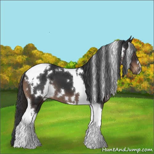 Horse Color:White Spotted Liver Chestnut Tobiano 