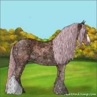 Horse Color:Watercolor Chestnut Ice