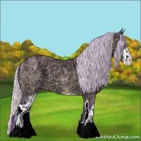 Horse Color:Watercolor Silver Bay Ice Dun Sabino 