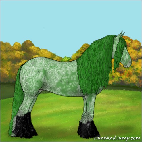 Horse Color:ERROR: UNKNOWN ANOMALY