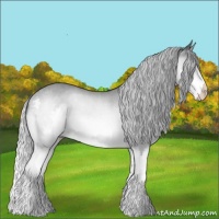 Horse Color:Silver Brown Chinchilla Splash 