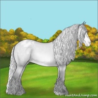 Horse Color:Silver Sable Champagne Chinchilla Varnish
