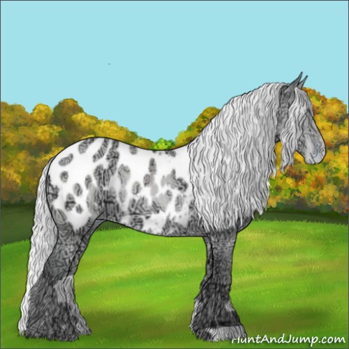 Horse Color:Silver Sable Champagne Chinchilla Ice Blanket 
