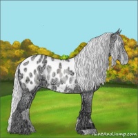 Horse Color:Silver Sable Champagne Chinchilla Ice Blanket 