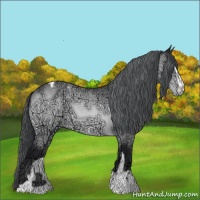 Horse Color:Brown Chinchilla Ice Sabino Varnish 