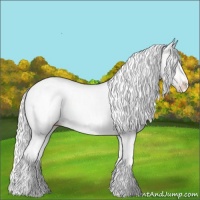 Horse Color:Gold Champagne Chinchilla Sabino 