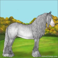 Horse Color:Silver Sable Cream Champagne Chinchilla 