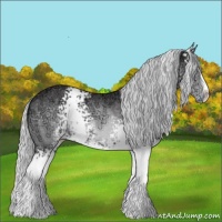 Horse Color:White Spotted Silver Buckskin Chinchilla Ice Sabino 