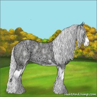 Horse Color:Silver Classic Champagne Chinchilla Ice Sabino 