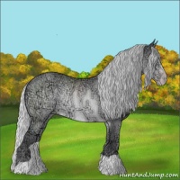 Horse Color:Silver Sable Cream Champagne Chinchilla Ice Rabicano 