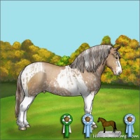 Horse Color:Black Pearl Sabino and Silver Black Pearl Sabino Tobiano