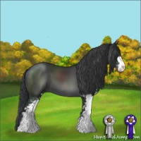 Horse Color:Black Sabino 