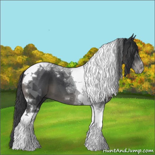 Horse Color:Black Tobiano 