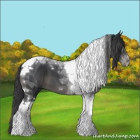 Horse Color:Black Tobiano 