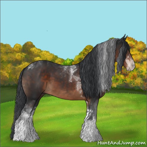 Horse Color:Brown Tobiano 