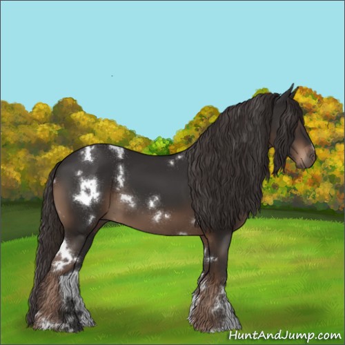 Horse Color:White Spotted Liver Chestnut 