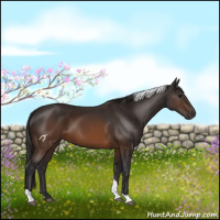 Horse Color:Buckskin Tobiano 