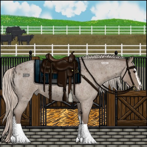 Horse Color:Silver Blue Roan Sabino 