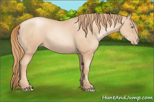 Horse Color:Gold Champagne Pearl Rabicano  and Gold Champagne Pearl Rabicano 