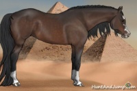 Horse Color:Brown Splash Frame