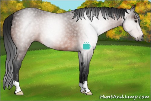 Horse Color:Gray Brown 