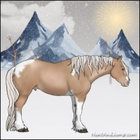 Horse Color:Silver Black Pearl Tobiano Frame 