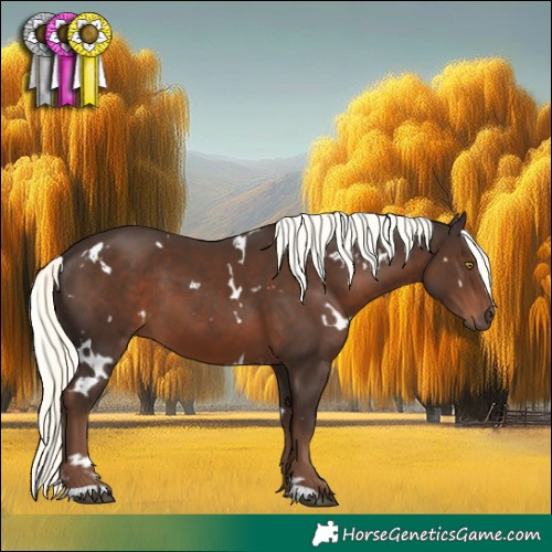 Horse Color:White Spotted Liver Chestnut Mushroom 