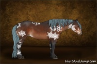 Horse Color:Painted Brown Ice Sabino Rabicano 