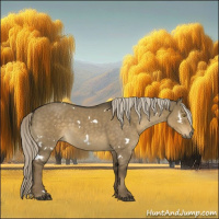 Horse Color:White Spotted Chocolate Palomino Dun 