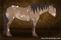 Horse Color:White Spotted Liver Red Dun 