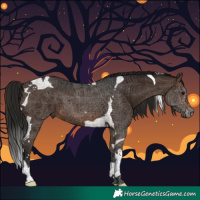 Horse Color:Gray White Spotted Bay Tobiano 