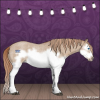 Horse Color:Red Dun Roan Splash Frame Rabicano 