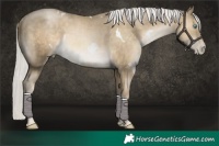 Horse Color:White Spotted Silver Smoky Black Pearl 