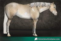 Horse Color:White Spotted Silver Smoky Black Pearl 