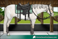 Horse Color:White Spotted Silver Smoky Blue Roan Pearl Rabicano 