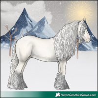 Horse Color:Gold Cream Champagne Snowdrop Dun