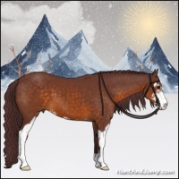 Horse Color:Chocolate Buckskin Sabino
