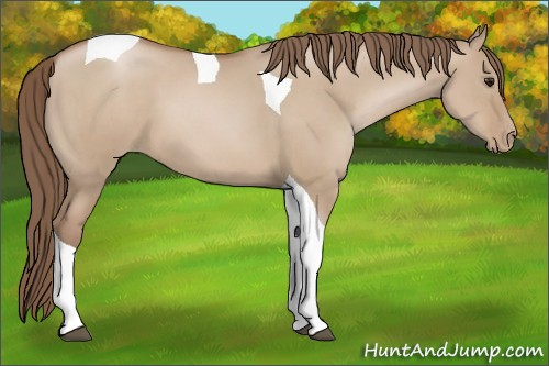 Horse Color:Grullo Pearl Tobiano 