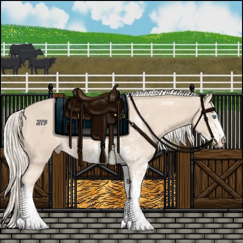 Horse Color:Cremello Sabino  and Cremello Sabino 