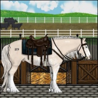Horse Color:Cremello Sabino  and Cremello Sabino 