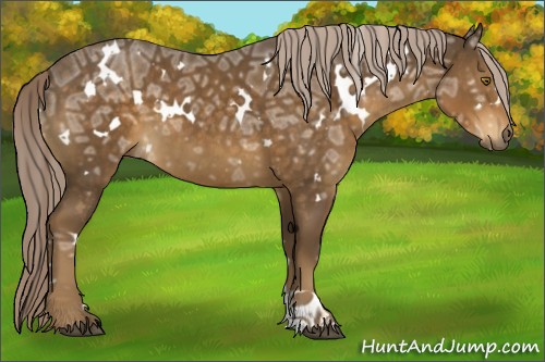 Horse Color:White Spotted Chocolate Palomino Ice 